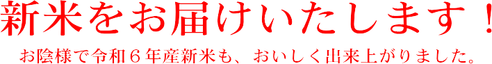 新米をお届けいたします。