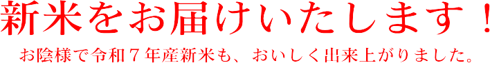 新米をお届けいたします。