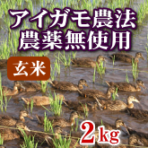 岩船産コシヒカリ 無農薬米 玄米 2kg