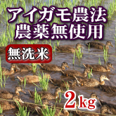 岩船産コシヒカリ 無農薬米 無洗米 2kg