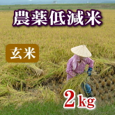 岩船産コシヒカリ 農薬低減米 玄米 2kg