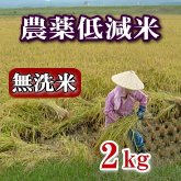 岩船産コシヒカリ 農薬低減米 無洗米 2kg